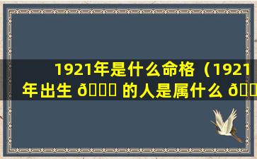 1921年是什么命格（1921年出生 🐛 的人是属什么 🕸 的）